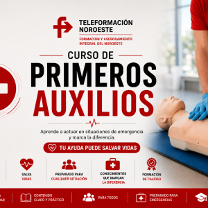 Curso de Primeros Auxilios Básicos (20 horas)